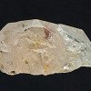 morganite